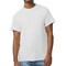 Gildan Ultra Cotton Crewneck T-Shirt Bundle, Ash Unisex Short Sleeve Blanks for DIY Craft (2–14 Pack)